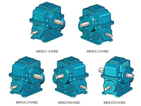 TPU系列平面二次包絡(luò)環(huán)面蝸桿減速機(jī)